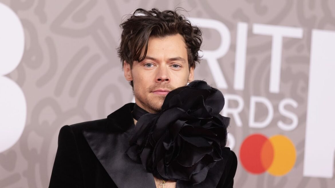 El talentoso Harry Styles regresa a SNL para impresionar como anfitrión y músico este 14 de marzo.